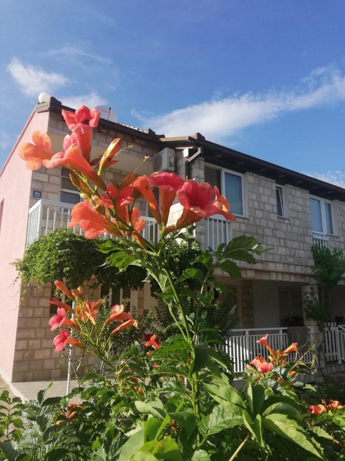 Apartmani Danica Orebić Extérieur photo